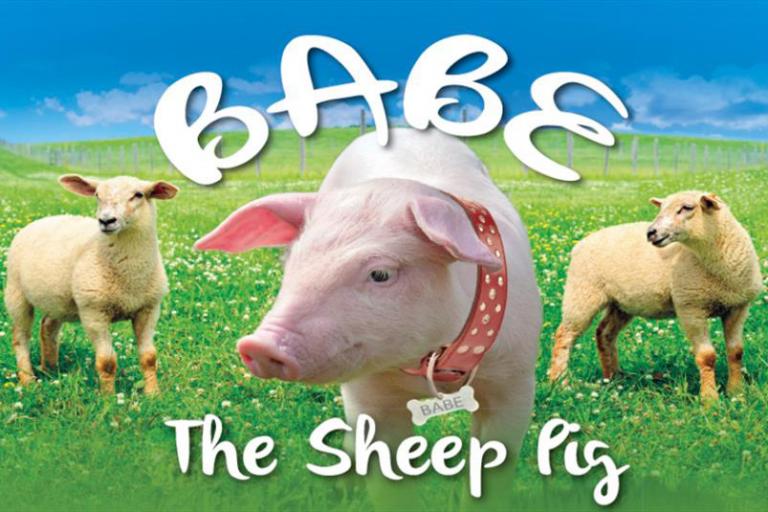 Babe The Sheep Pig